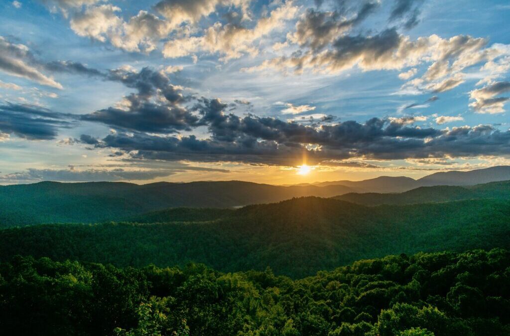 2025: A Year of Connection, Action, and Impact