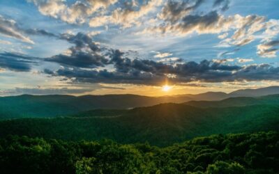 2025: A Year of Connection, Action, and Impact